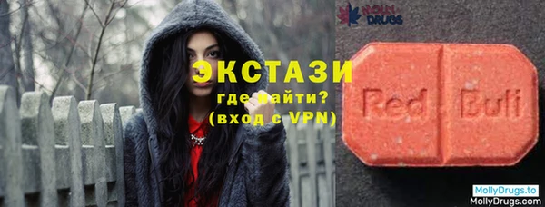 стафф Касимов