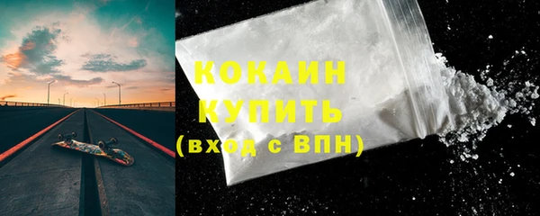 стафф Касимов