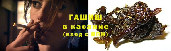 стафф Касимов