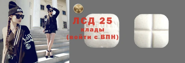 стафф Касимов
