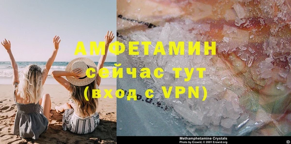 стафф Касимов