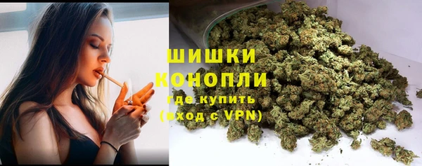 стафф Касимов