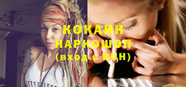 стафф Касимов