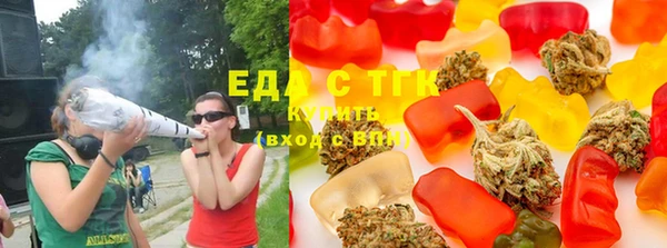 стафф Касимов