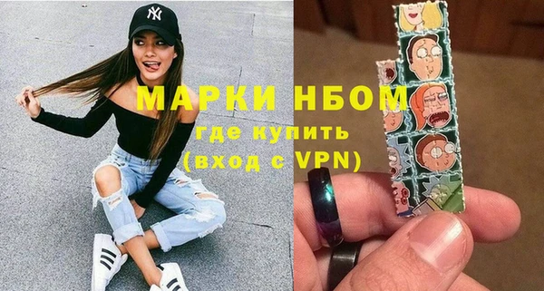 стафф Касимов
