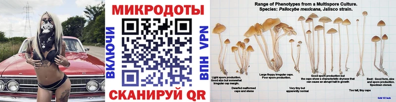 Купить закладки  Верхняя Салда  Псилоцибиновые грибы Psilocybine cubensis 