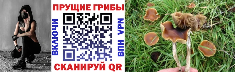 Галлюциногенные грибы мицелий Верхняя Салда
